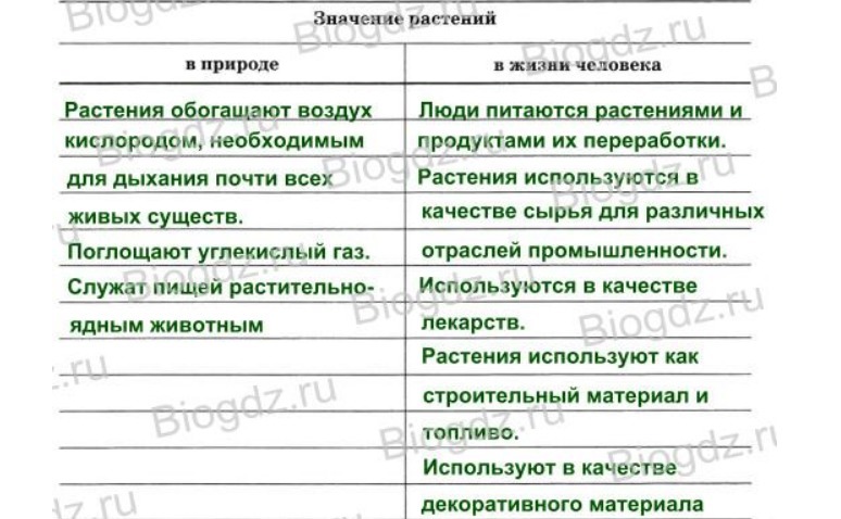 Значение в природе таблица. Значение растений таблица. Значение растений в природе таблица. Значение растений в природе и жизни человека таблица. Таблица растения и человек.